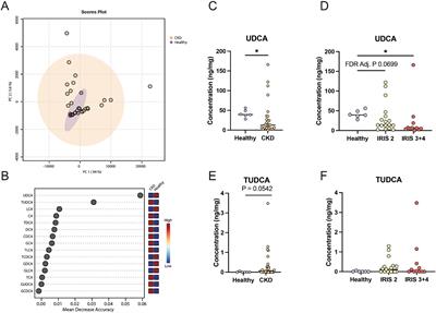 Fecal bile acid dysmetabolism and reduced ursodeoxycholic acid correlate with novel microbial signatures in feline chronic kidney disease